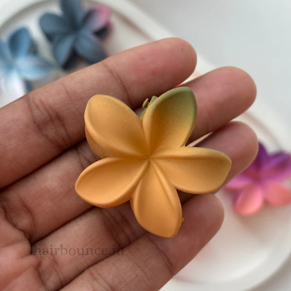 85_034d9db6-29f0-419e-a0fb-dbb817953918 (1)